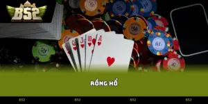 rồng hổ